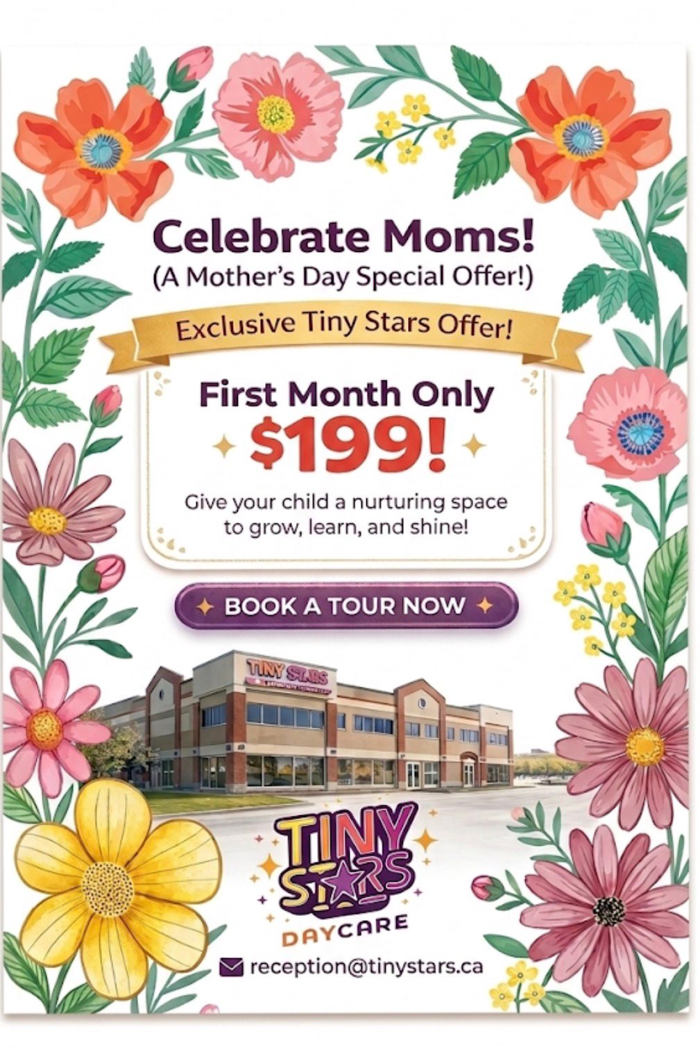 Tiny Stars Brochure